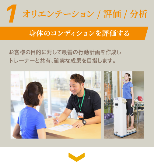 オリエンテーション / 評価 / 分析