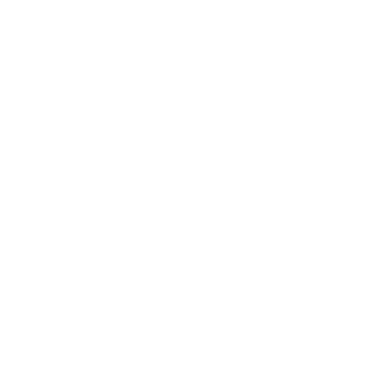 プログラム内容